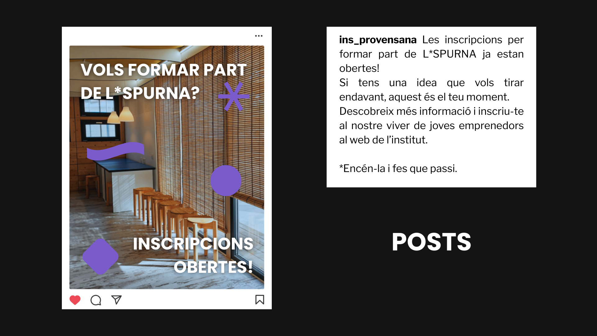 manual lspurna